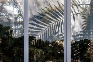 glazed conservatory window